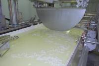 Fabrication du fromage - Enlèvement des diaphragmes avant égouttage du caillé